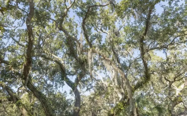 Best Value in Seabrook - Heron Run