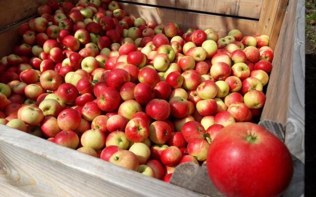 Brösarp Källagården Vindsvåning 2 rum och kök