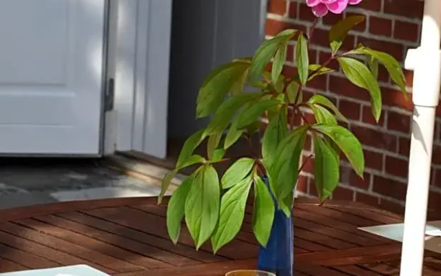 Bed & Kitchen „Den gamle Skole“ Nr. Sejerslev