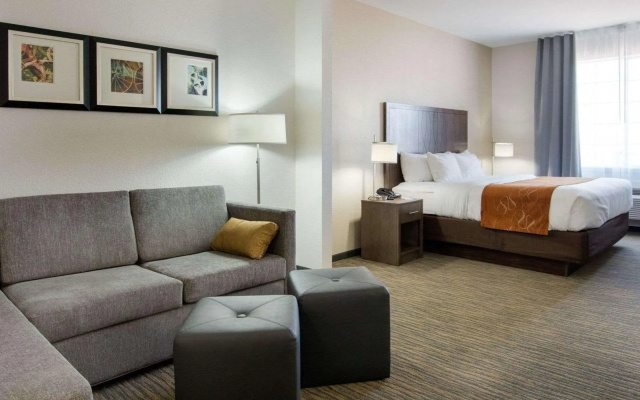 Comfort Suites San Angelo near University - фото 3