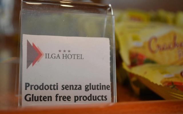 Hotel Ilga