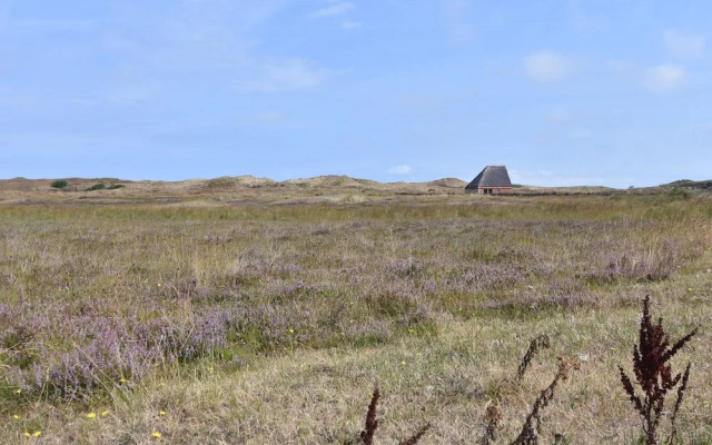 Amazing Bungalow in De Cocksdorp near Beach