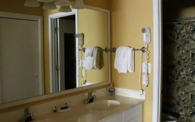 Richmond Park Three-bedroom Apartment 11-D