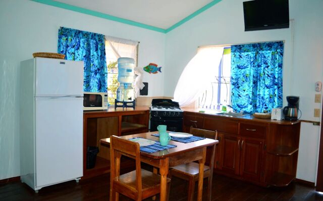 All Seasons Belize