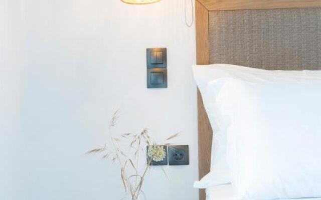 SEASCAPE VILLAS VASSILIKI - Beachfront villas