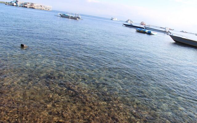 Agung View Nusa Penida