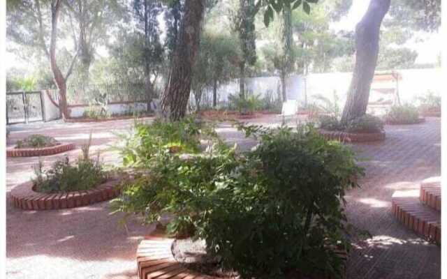 Villa Il Glicine Bed & Breakfast
