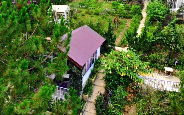 Pine Hill Homestay Dalat