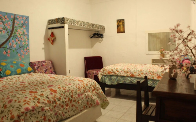 La Casa del Árbol Cancun