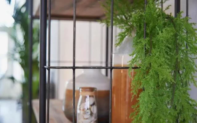 Harlingen oldtown apartment