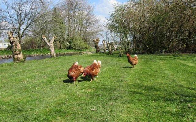 Bed&Brood De StraVerdonk