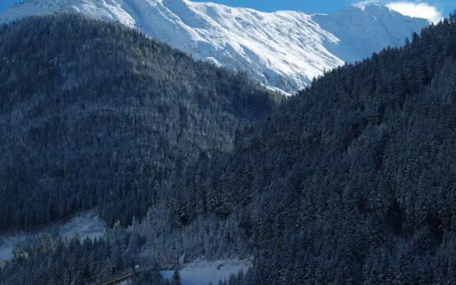 Apart Garni Lärchenheim