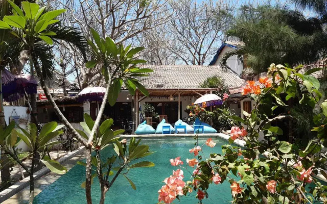 Dream Hotel