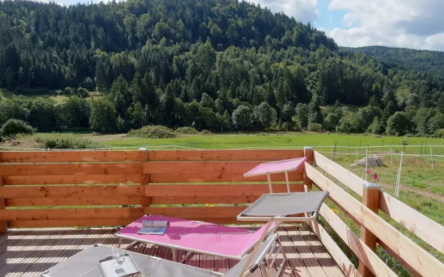 Alluring Chalet in Gérardmer With Terrace