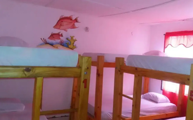 Taganga Paradise Hostal & Diving - Hostel