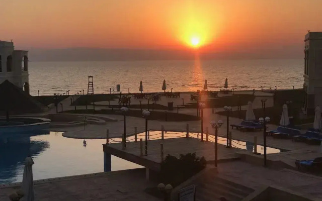 Palm Beach Host Mark