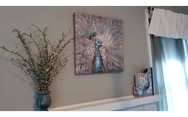 Silly Chickens Lodge B&B