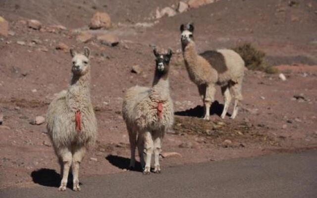 Ckamur Atacama Ethno Lodge