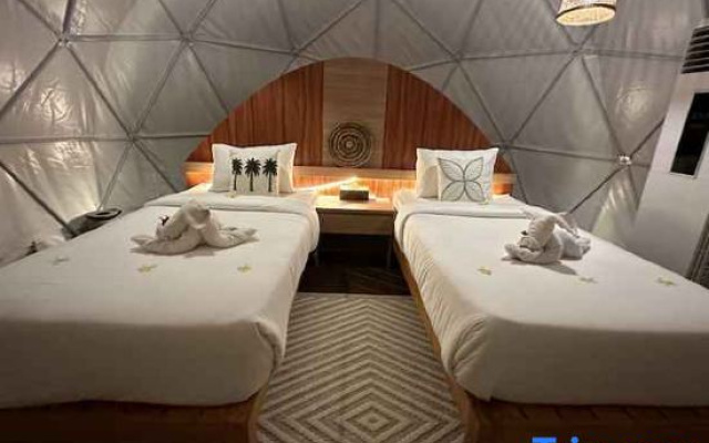 Glamping @ Pebbles & Fins