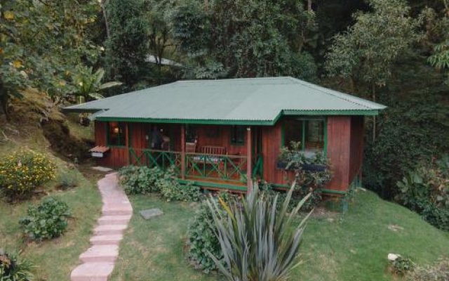 River Nest Lodge Costa Rica