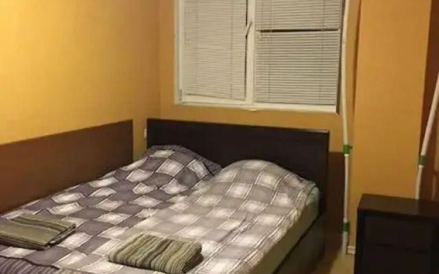 Amazing flat in Gudauri, 5 minutes walk to slopes!