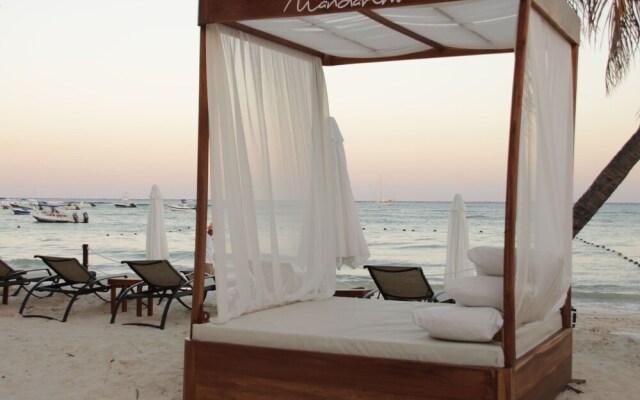 Nasim Condo Hotel acceso Gratis Beach Club, a metros 5th Avenida