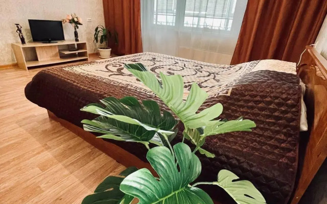 Апартаменты на улице Петра Подзолкова 3Б