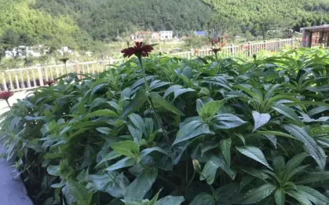 Tianzhu Mountain Huahai Hostel