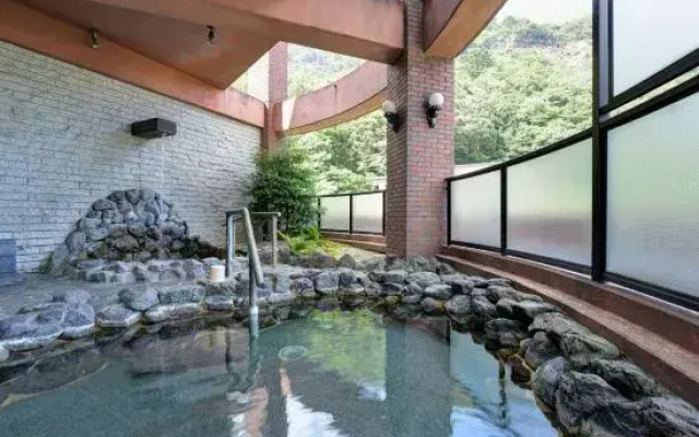 Hotel de Marronnier Yunoyama-Onsen