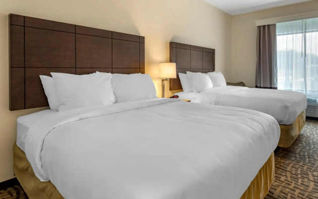 Comfort Inn & Suites Pittsburgh-Northshore