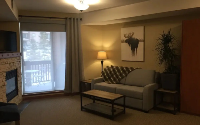 Beautiful Spacious Mountain Studios