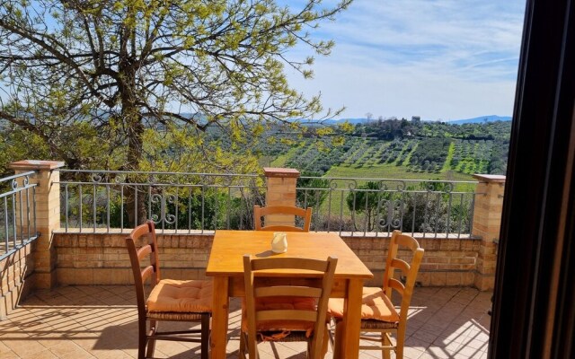 La Vigna di Ranco Ltd Num3353