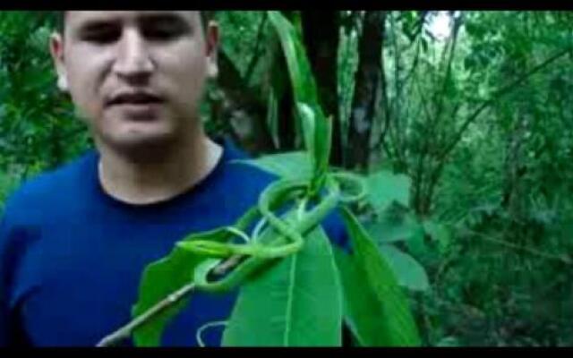 Hotel Cabinas y Tour Aaron Tortuguero