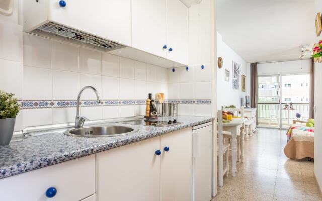 530 Big Studio with Terrace