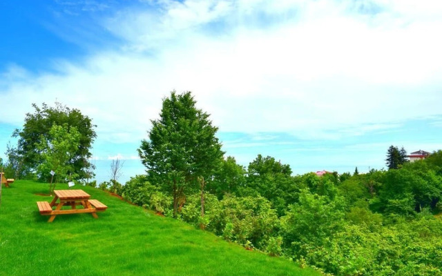 Zahi Bungalov