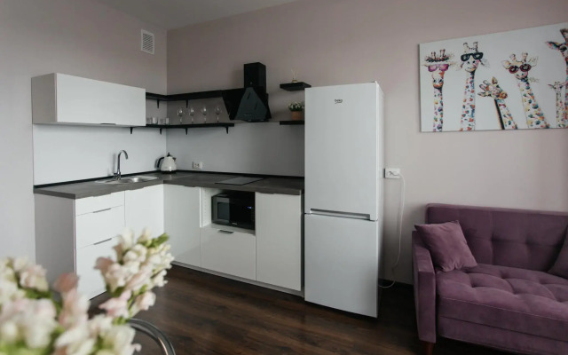 Apartments on line 26 of Vasilyevsky Island 7