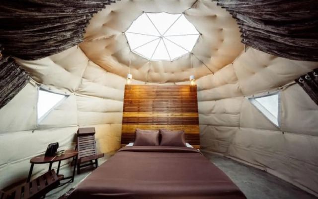 Purple Orchid By Xacro Xperiences