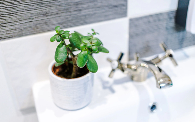 Empire Blackpool Apartments - Charles Street