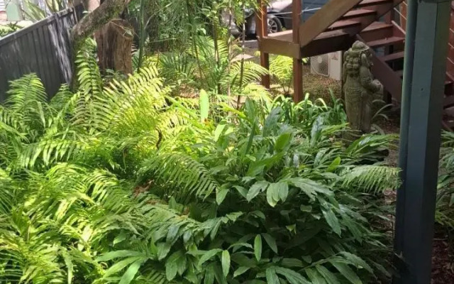 Wyreepi Carribean Chalet