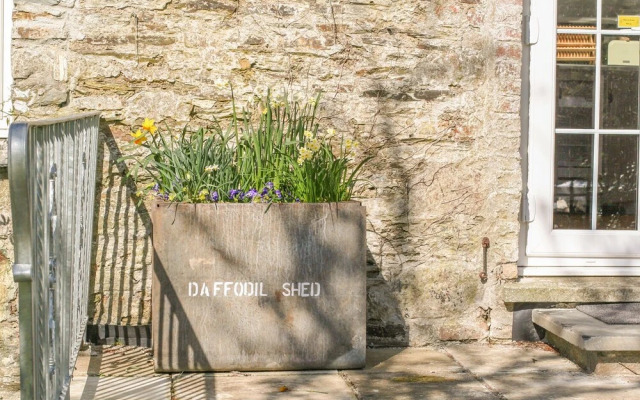 The Daffodil Shed