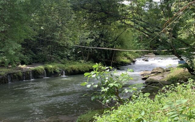 Teratai Biru River Camping Ground
