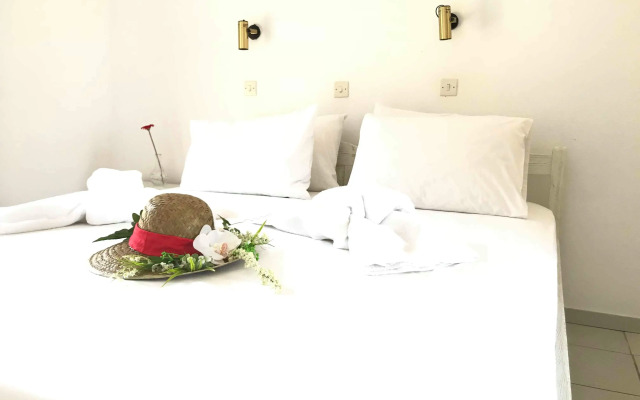 Estrella Delmar Studio