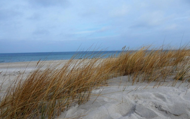 Exklusive familienfreundliche Ferienwohnung im Haus Aalbeek
