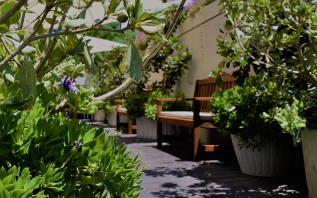 Brown Seaside boutique hotel by Brown Hotels