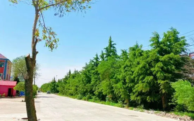 Aladdin Hotel, Jiaobei