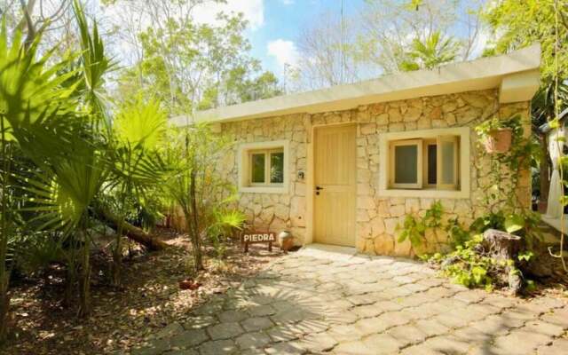 OMA Cancun Holistic Healing Center