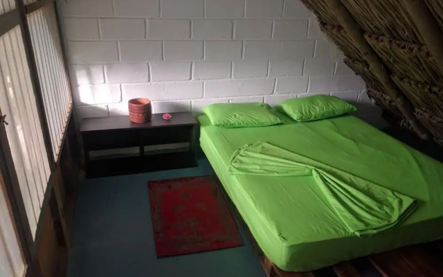 El Zoo Hostel & Pool