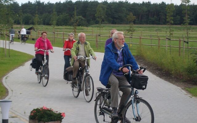 Semi-detached House With a Dishwasher, at 9 km van Slagharen