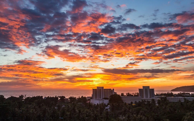 The Palm at Veloche by Lofty