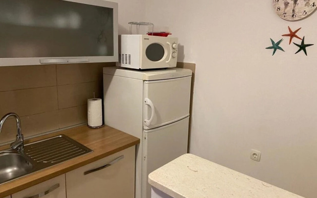 Rosemary - Gorgeous Garden - A1